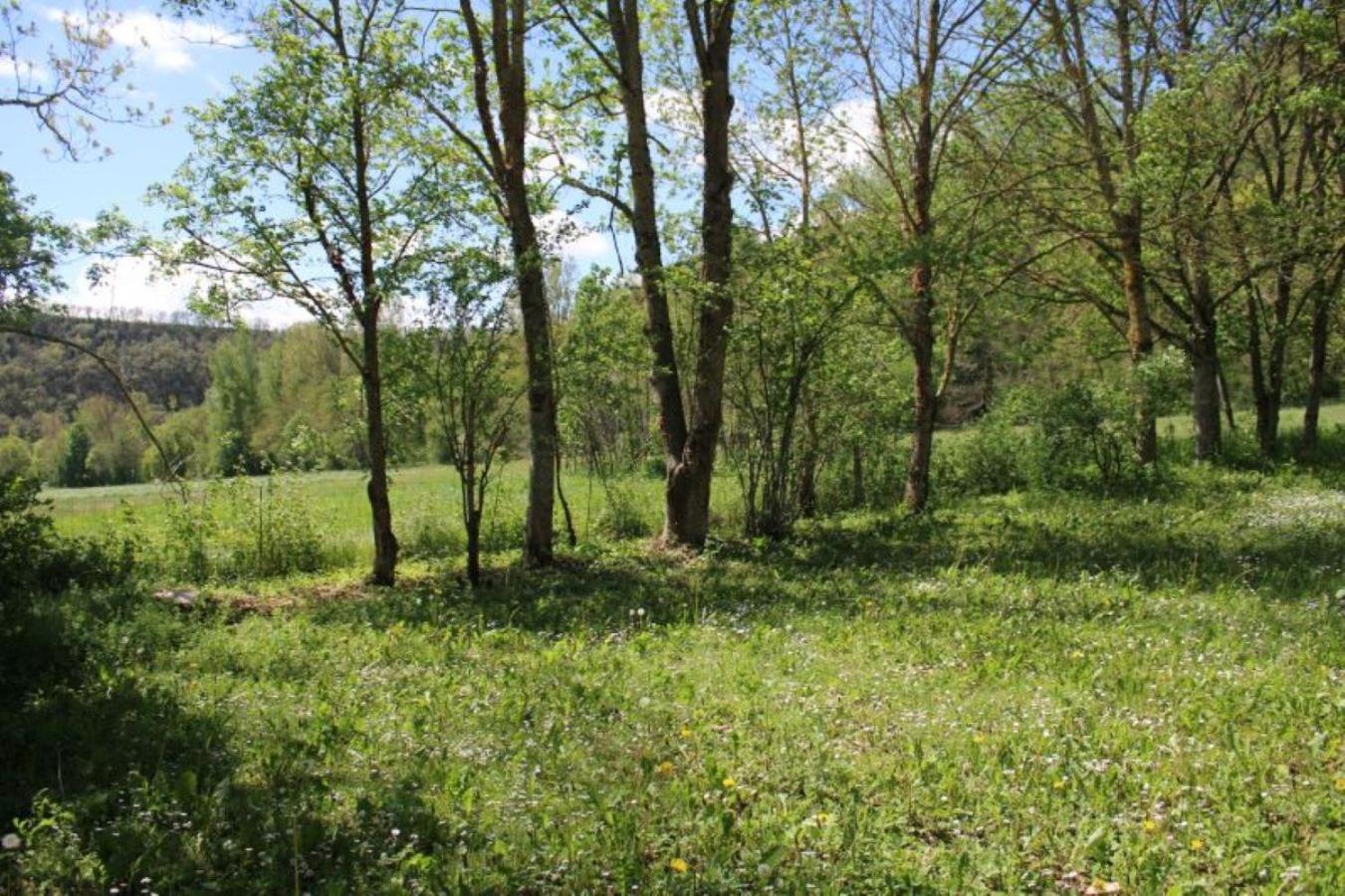 Camping Vert Lavande Belmont-sur-Rance Exterior foto